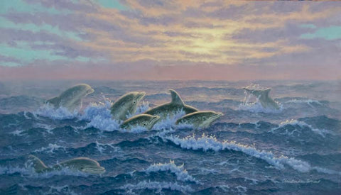 Dolphin Dance