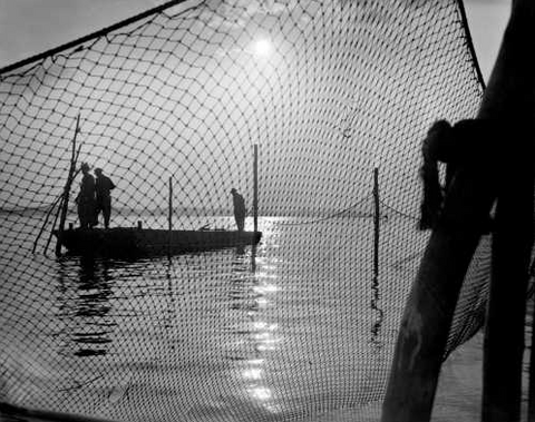 Herring Fishermen