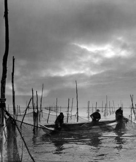 Pound Net Fishermen