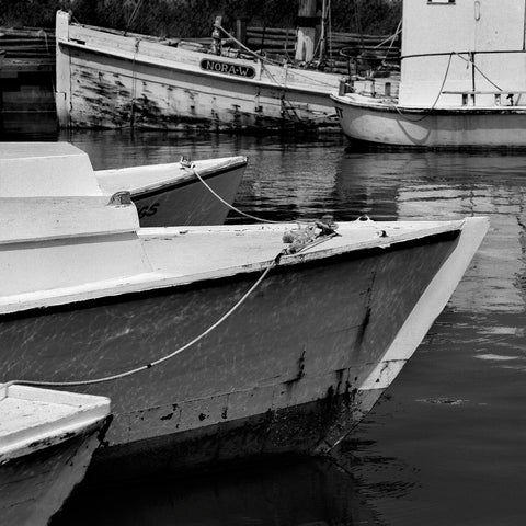 Nora W on Tilghman Island